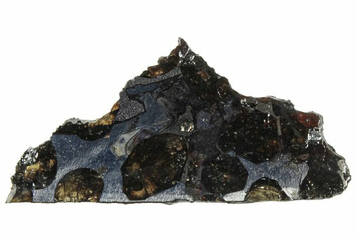 Polished Sericho Pallasite Meteorite ( g) Slice - Kenya #313683